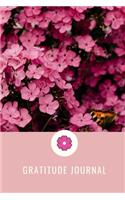 My Gratitude Journal