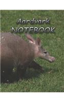Aardvark NOTEBOOK: notebooks and journals 110 pages (8.5"x11")
