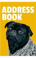 Address Book