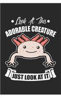Look at this adorable creature Just look at it