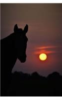 Equine Sunset Journal