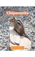 Chipmunks: Fun Facts and Amazing Photos of Animals in Nature