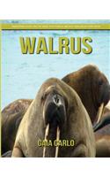Walrus