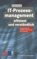 It-Prozessmanagement Effizient Und Verständlich