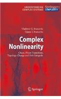 Complex Nonlinearity