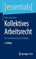 Kollektives Arbeitsrecht: Der Schnelleinstieg Für Praktiker