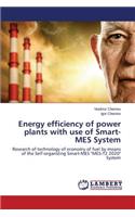 Energy efficiency of power plants with use of Smart-MES System
