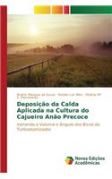 Deposição da Calda Aplicada na Cultura do Cajueiro Anão Precoce