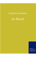 Im Busch
