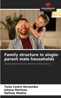 Family structure in single-parent male households