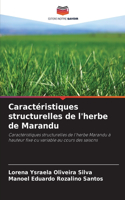 Caractéristiques structurelles de l'herbe de Marandu