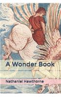 A Wonder Book