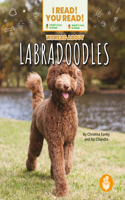 We Read about Labradoodles