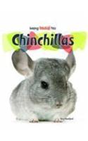 Chinchillas