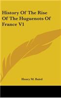 History Of The Rise Of The Huguenots Of France V1