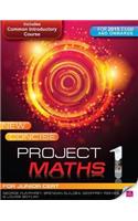 New Concise Project Maths 1