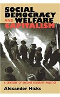 Social Democracy and Welfare Capitalism