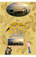 An Eighth of the Mary Rose