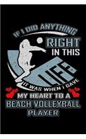 If I Did Anything Right in This Life It Was When I Gave My Heart to a Beach Volleyball Player