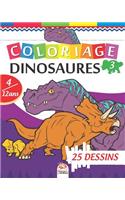 Coloriage Dinosaures 3: Livre de Coloriage Pour les Enfants de 4 à 12 Ans - 25 Dessins - Volume 3