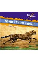 Nature's Fastest Animals