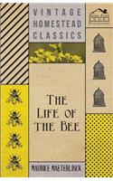 The Life Of The Bee