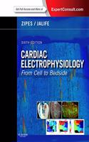 Cardiac Electrophysiology: From Cell to Bedside