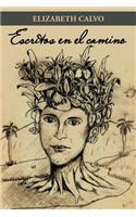 Escritos En El Camino: (Spanish)