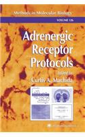 Adrenergic Receptor Protocols