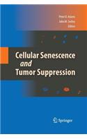 Cellular Senescence and Tumor Suppression