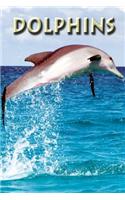 Dolphins