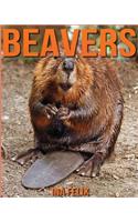 Beavers