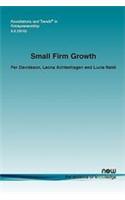 Small Firm Growth