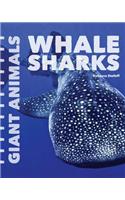 Whale Sharks