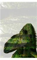 Veiled Chameleon Notebook