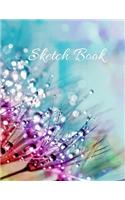 Sketch Book
