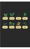 Oregano Basil Thyme Ginger Mint