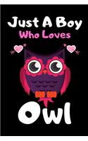 Just a boy who loves owl