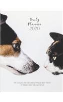 Daily Planner 2020 Time Schedule. Meal Plan. Weather / Mood & Water Tracker. Top 3 Goals. Tasks. Gratitude Section: One Day per Page Diary + Monthly Calendars ADORABLE PHOTO OF DOG & CAT IN BLACK & WHITE