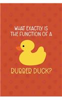 What Exactly Is The Function Of A Rubber Duck?