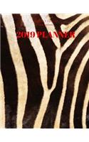 2019 Planner: Zebra Print Monthly Calendar Format with Habit Tracker, Moon Phases, Monthly National Themes, Daily Holidays (both quirky and federal), Birthday Tra