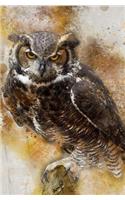 Owl Notebook