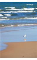 Seagull's Walk - Lined Notebook with Margins: 101 Pages, Medium Ruled, 6 x 9 Journal, Soft Cover