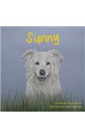 Sunny
