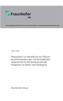 Plasmaätzen zur Herstellung von Siliziumdurchkontaktierungen mit kontrolliertem Seitenwinkel für die dreidimensionale Integration im Wafer Level Packaging