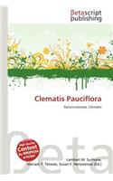 Clematis Pauciflora: (English)