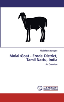 Molai Goat - Erode District, Tamil Nadu, India