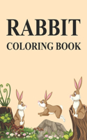 Rabbit Coloring Book