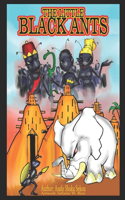 The Little Black Ants