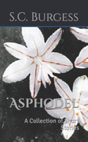 Asphodel